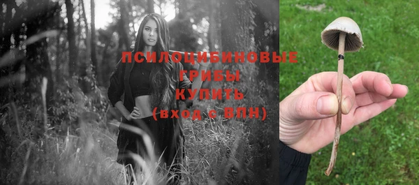 ALPHA PVP Алзамай