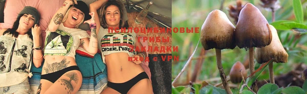 ГАЛЛЮЦИНОГЕННЫЕ ГРИБЫ Алексеевка