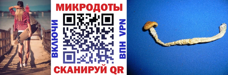 Галлюциногенные грибы GOLDEN TEACHER  где купить наркоту  Феодосия 