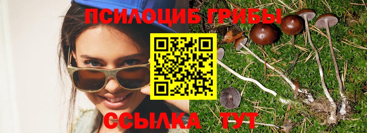 Псилоцибиновые грибы MAGIC MUSHROOMS Феодосия