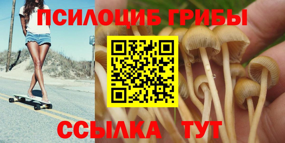Феодосия  Галлюциногенные грибы Magic Shrooms  магазин продажи   Вход с VPN 