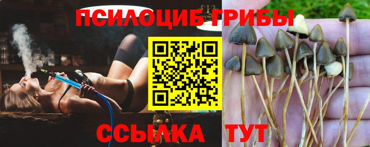 Купить наркотик  Гашиш  COCAIN  МЕФ кристаллы  Феодосия  Марихуана  Вход с VPN 