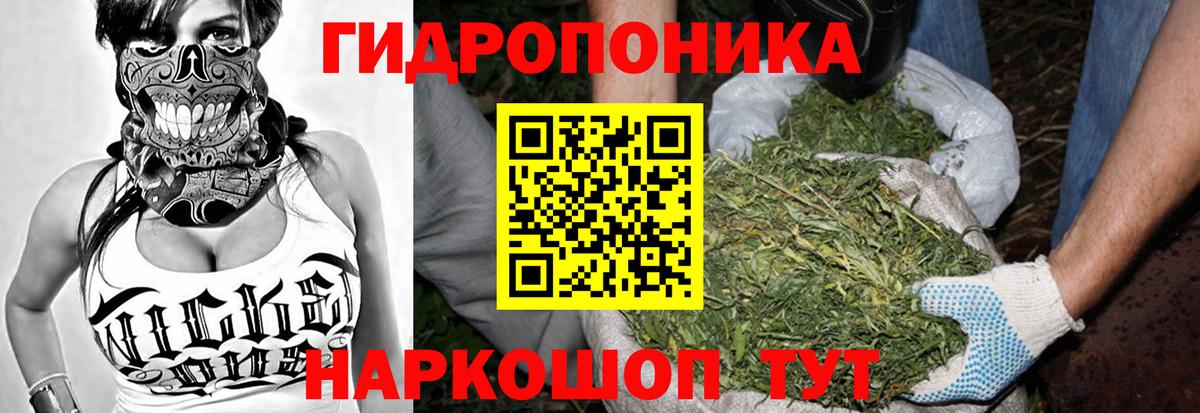 Феодосия  Канабис ГИДРОПОН  Бошки Шишки MAZAR  Вход с VPN 